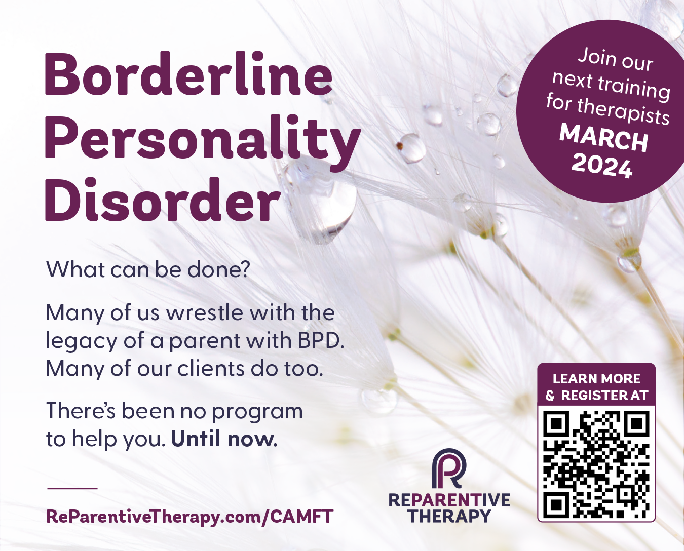 Reparentive Therapy