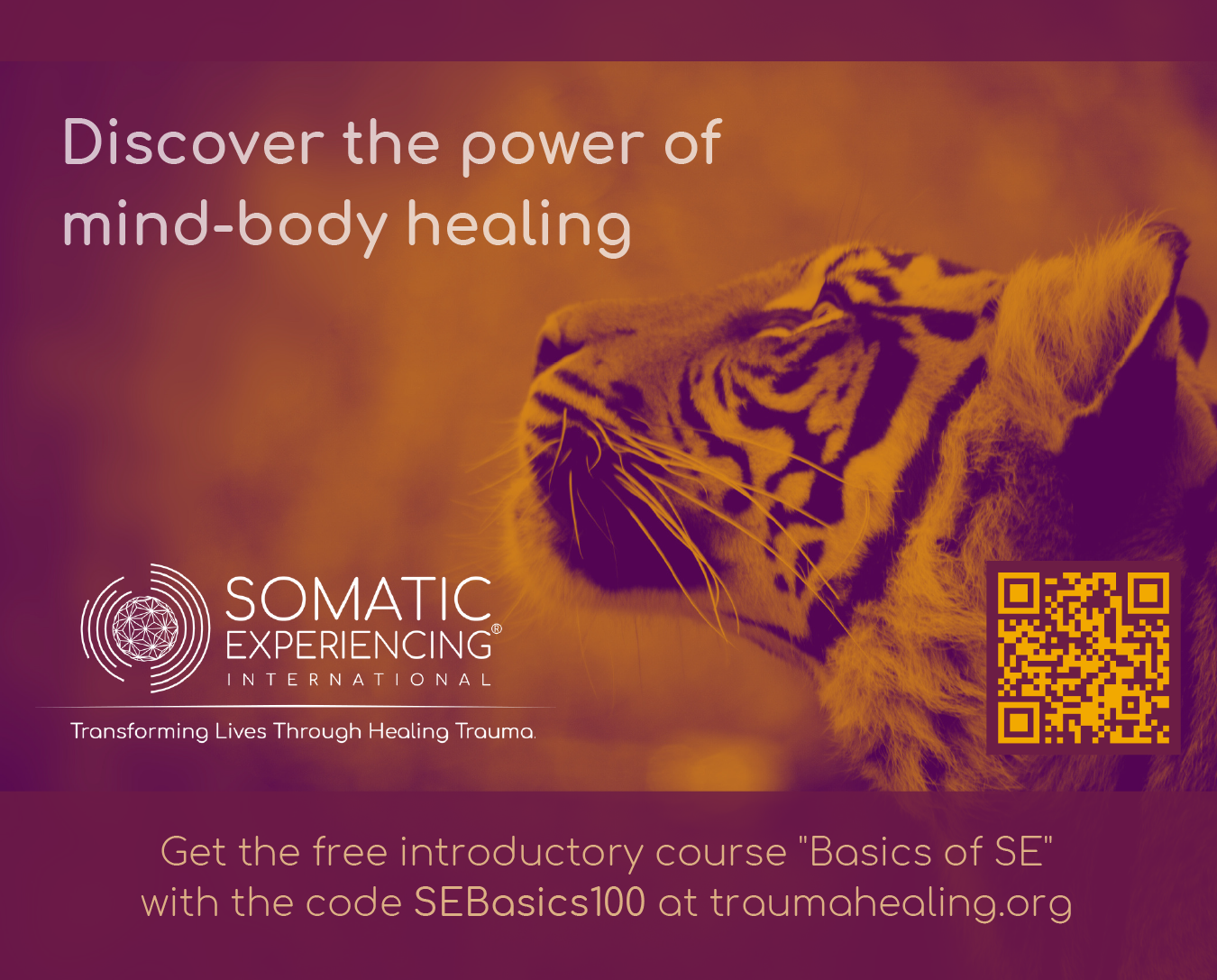 Somatic Experiencing International