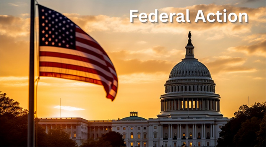 Federal Action