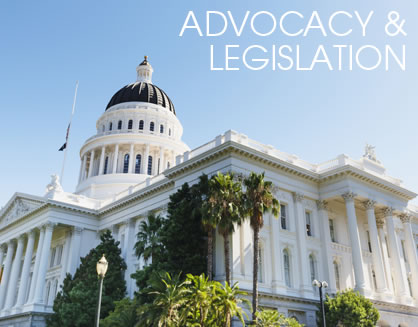 Advocacy/Legislation